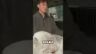 Страшное убийство Hello Kitty 