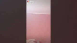 Любимая подружка