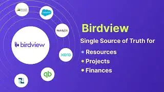 Birdview PSA  - project, resource, and financial management software for professional services
