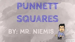 Mr. Niemis' Flipped Lessons - Intro to Punnet Squares