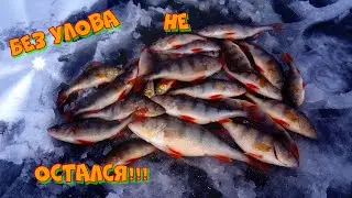Рыбалка на окуня в морозный денёк!!! Окунь на мормышку. Рыбалка с подводной камерой.