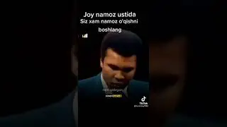 МУҲАММАД Али НАСИХАТ