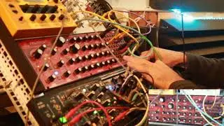 Live synth session