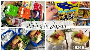 Grocery Shopping in Japan, Shopping in Daiso, Make Kids Bento & Pudding a la Mode | JAPAN VLOG