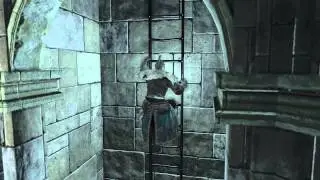 Dark Souls 2: Snake Eater