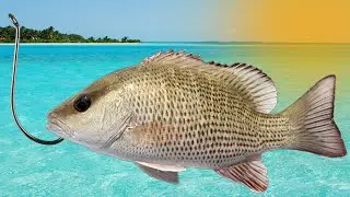 Catch More Fish More Often - Sougayilang Fishing Rod