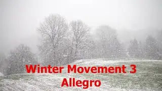 The Four Seasons (Vivaldi) - Winter