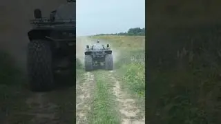 Врезалась в дерево на бигфуте #голышева #хайпхаус