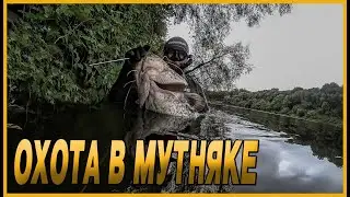 ПОДВОДНАЯ ОХОТА В МУТНЯКЕ | НАШЕЛ СОМА | ПОДВОДНАЯ ОХОТА 2021