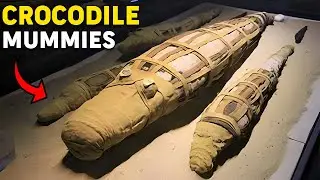 7 Strange Mummy Discoveries From Egypt