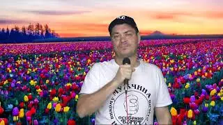 Алименты бабский праздник