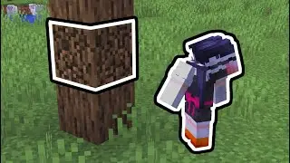 Breaking Minecraft with only 2 lines of code