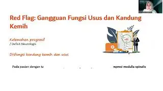 RED FLAG & YELLOW FLAG LBP
