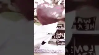 Как вам Пейтон? Мне так себе просто видос понравился🤨
