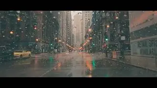 💙Liam Tree💙 - Sweater Weather / 🌎 Chicago, Illinois