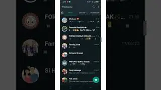 cara menyematkan pesan di wa dan mengarsipkan pesan di WhatsApp 