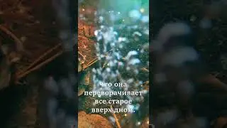 Стратегия улучшения жизни #shorts #Осознанность #психология