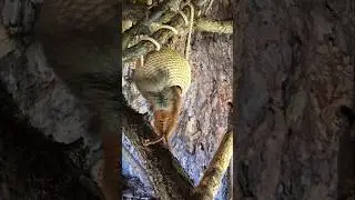 Ах, какие ножки 😍 Больше видео в Телеграмм 