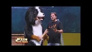 Bülent Ceylan verarscht Martin Rütter - Bülent und seine Freunde
