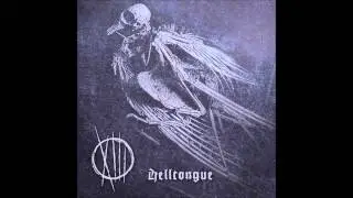 XIII - Post Scriptum
