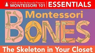 Montessori Essentials: The Skeleton In Your Closet: Montessori Bones
