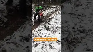 Катаюсь по лесу