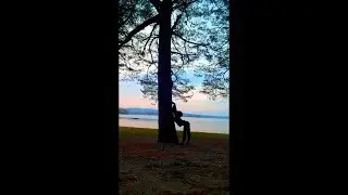 Trees: always there for you