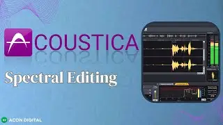 Acoustica 11: Spectral Editing (Removing Guitar Slide Noise)