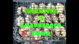 Клариевый африканский сом.  Как сделать шашлык!!!