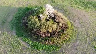 Ворона, заяц и барсук