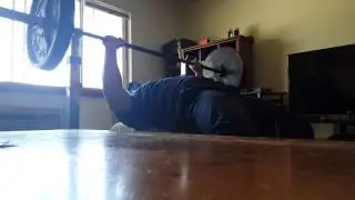 225lbs x 22 reps