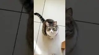 А как начинается ваше утро?))