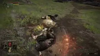 Elden Ring Lightning Knight   Liurnia ER 1080p PC