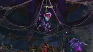 Online meeting of spiders!!!