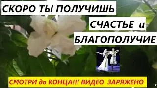 ✅ЭТО ВИДЕО ЗАРЯЖЕНО🌈НА СЧАСТЬЕ И БЛАГОПОЛУЧИЕ💕Свадьба - Брильянты,Золото,Машина💥Смотри до конца.