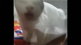 А?
