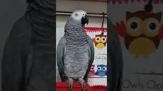 Погуляем! Потом на урок!