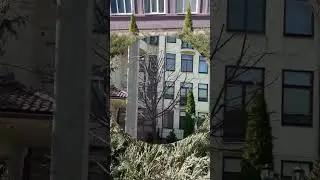 Харьков - наш город!