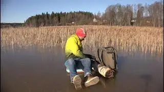 Icekassi