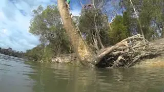 NOOSA HOLIDAY - Been so good to me