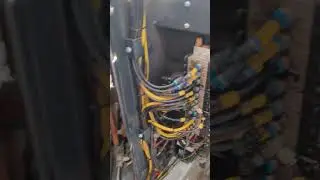 4 августа 2024 г.