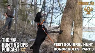 UKC Hunting Ops Podcast Ep. 125 - Squirrel Dogs: Feist Squirrel Hunt Honor Rules, Part 3