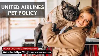 How to fly with your cat/dog on United Airlines || United Airlines Pet Policy