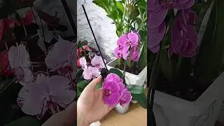 😱когда дома меня не было пару часиков 🤦😰😰 