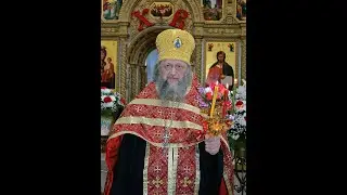 Евангельский кружок с протоиереем Андреем Устюжаниным 15.06.2022