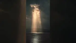 👼
