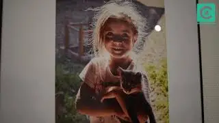 Фотовиставка газети «День»: тест на чутливість