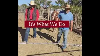 Fences, Horses, and Hard Work
