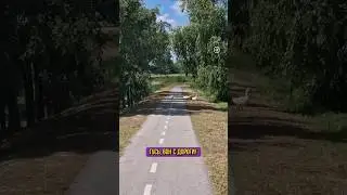 Гусь отойди с дороги гусь хозяин дороги отойдиии гусь орет ааа смешной гусяк такой