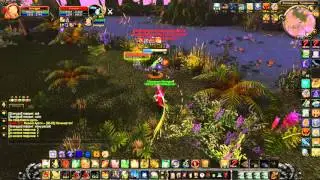 RPAL vs PvP Lover (Энх с двуручкой)  3.3.5a